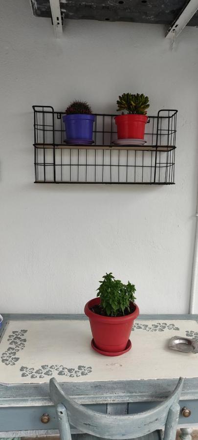 אמוליאני Apartment Tsaira מראה חיצוני תמונה