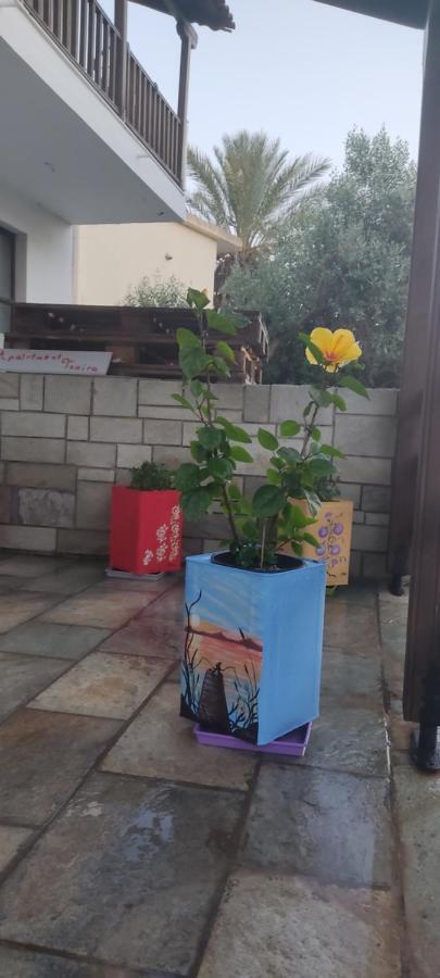 אמוליאני Apartment Tsaira מראה חיצוני תמונה
